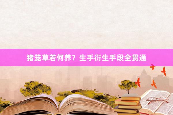 猪笼草若何养？生手衍生手段全贯通