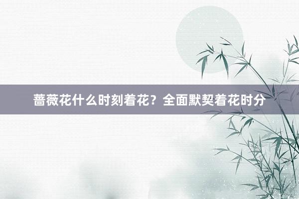 蔷薇花什么时刻着花？全面默契着花时分