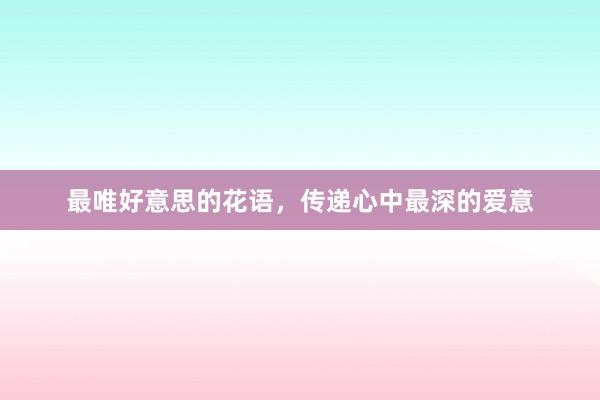 最唯好意思的花语，传递心中最深的爱意