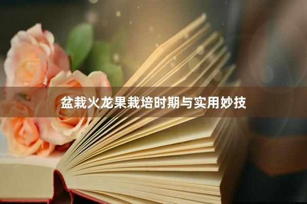 盆栽火龙果栽培时期与实用妙技
