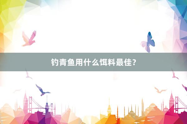 钓青鱼用什么饵料最佳？