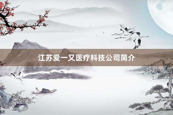 江苏爱一又医疗科技公司简介