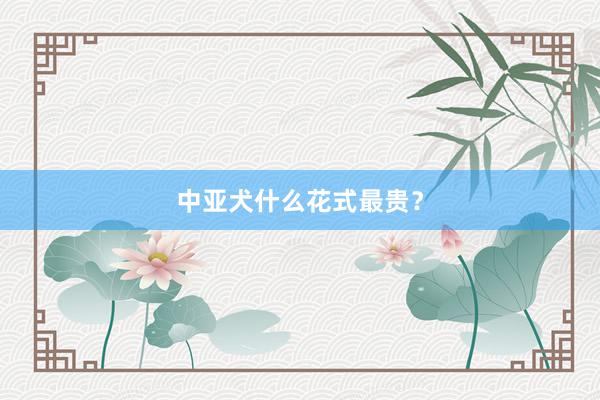 中亚犬什么花式最贵？